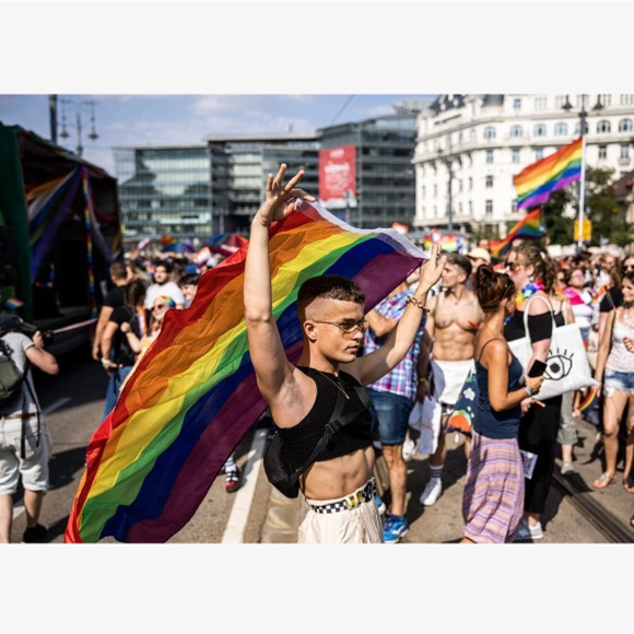 LGBTQ Rainbow Stripe 6-Color Pride Flag - Picture 4 of 9